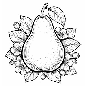 Pear
